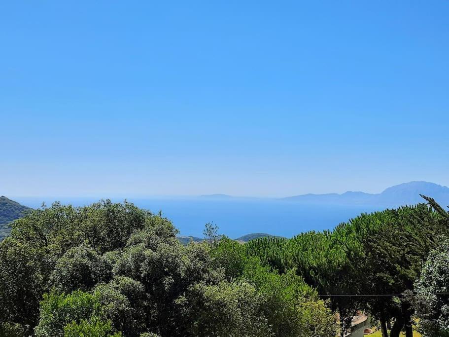 Casa Micheal - Luxury Villa - El Cuarton, Tarifa Kültér fotó